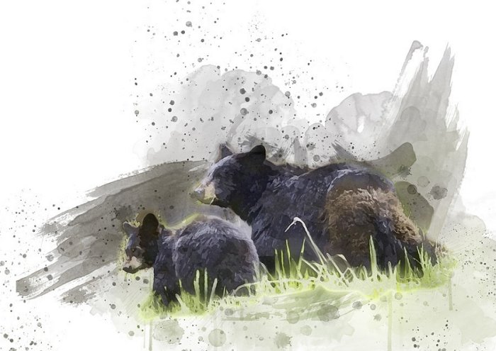 Black Bears Walking Wildlife Nature Big Fur